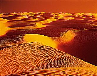 Crytek为《猎杀：对决》活动期出现服务器故障致歉