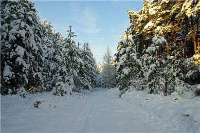 《三国志8重制版》新更新上线 扩充调整功能修复Bug