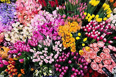 《全面战争：战锤3》公布发售日 食人魔王国预购奖励